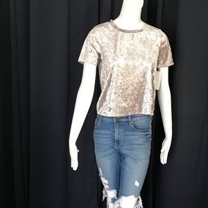 Velvet Short Sleeve Crewneck knit Top!!!